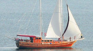 Charter Krilo Split