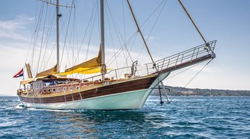 Charter Angelica Split